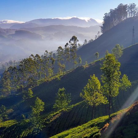 Grace Inn Munnar Homestay Esterno foto