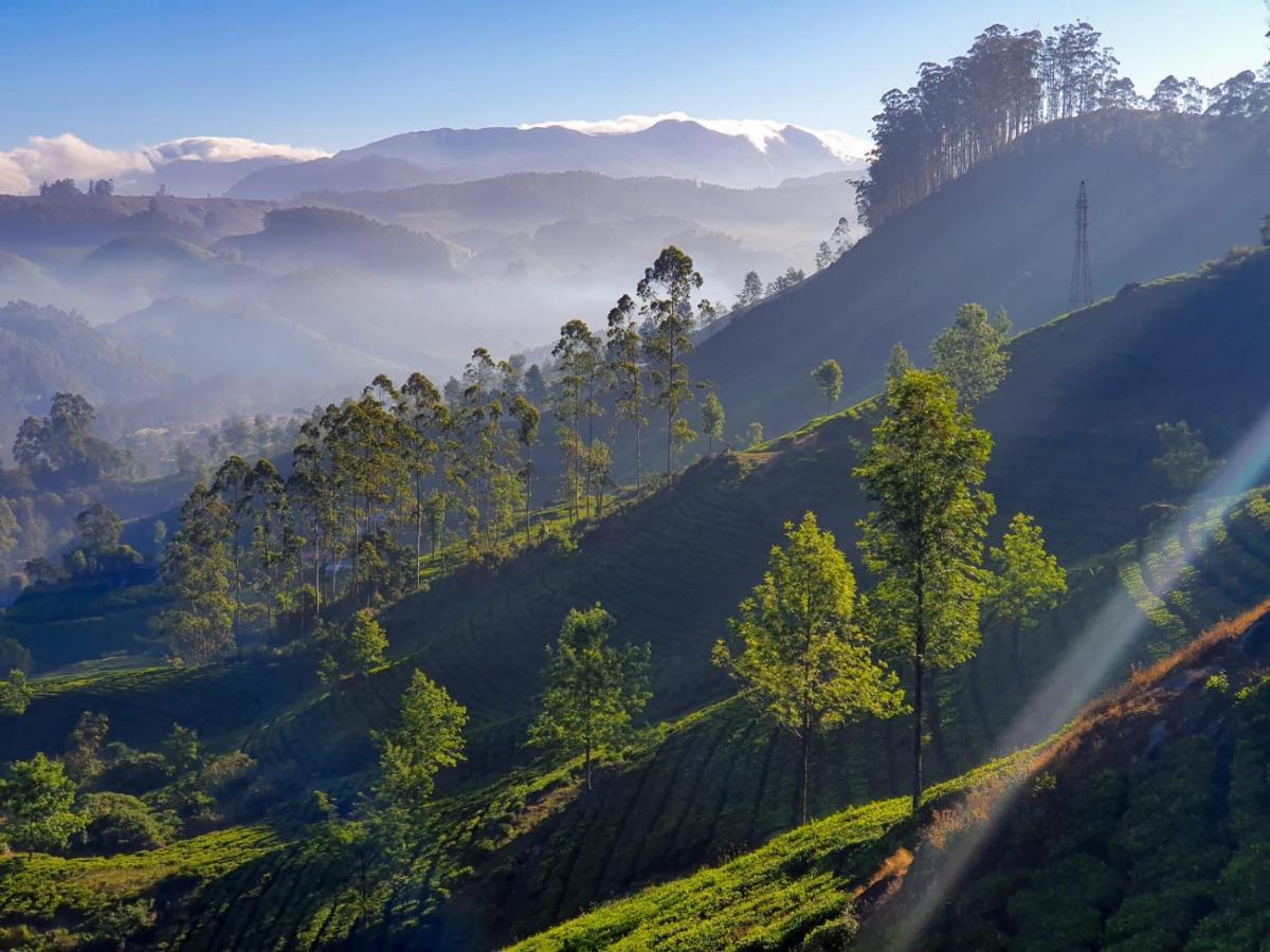 Grace Inn Munnar Homestay Esterno foto
